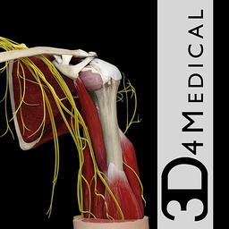 complete anatomy 3d4medical mac torrent